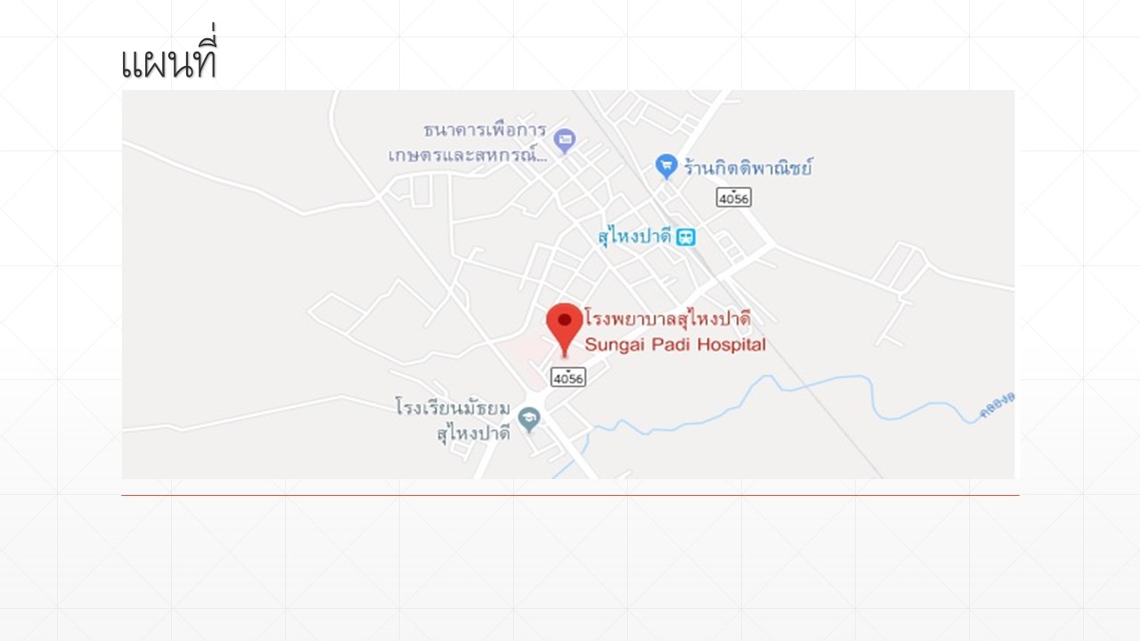 หน้าแรก